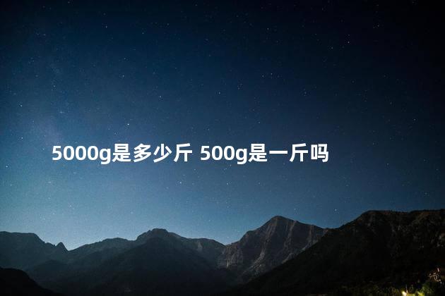 5000g是多少斤 500g是一斤吗